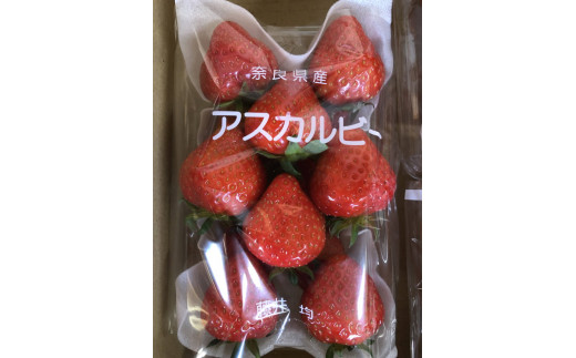 おかげさまで20周年 毎年大好評の甘い美味しい苺（レギュラーパック2Lサイズ）（あすかルビー）※発送前に電話連絡あり※2024年1月より順次発送予定 ※北海道・沖縄県・離島への配送不可