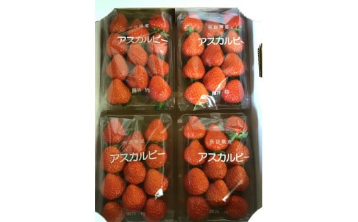 おかげさまで20周年 毎年大好評の甘い美味しい苺（レギュラーパックLサイズ）（あすかルビー）※発送前に電話連絡あり※2024年1月より順次発送予定 ※北海道・沖縄・離島への配送不可