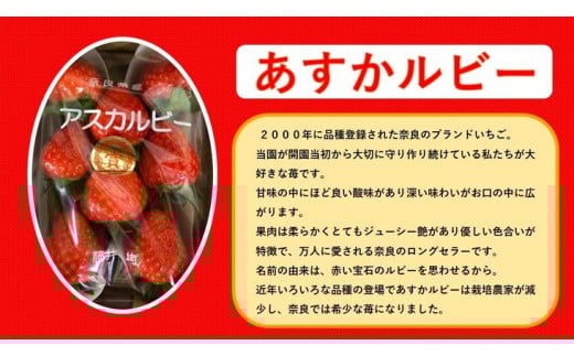 おかげさまで21年目 毎年大好評の甘い美味しい大粒苺（３L以上のあすかルビー・古都華（ことか））◇※発送前に電話連絡あり※発送時期指定不可 ※北海道・沖縄・離島への配送不可 ※2026年1月上旬頃より順次発送予定