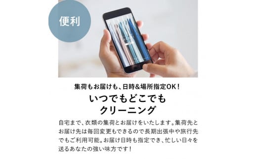 【定期便】 クリーニング 詰め放題　月1回コース 1年分（12回利用分） ※北海道、沖縄及び離島不可※着日指定不可