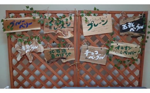 【定期便】ベーグルおまかせ20個　12ヶ月定期便≪低カロリー ベーグル 保存料無添加 食事パン 定期便 今井町食事パン お取り寄せ≫※離島への配送不可※着日指定不可