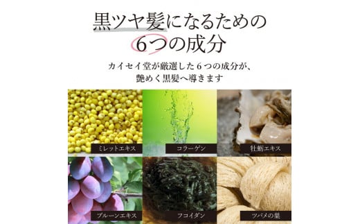 白髪対策コラーゲンドリンク ブラックアップ 1本（約1ヶ月分）◇｜白髪 黒髪 白髪対策 コラーゲン