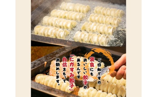 たかすみ　冷凍生餃子