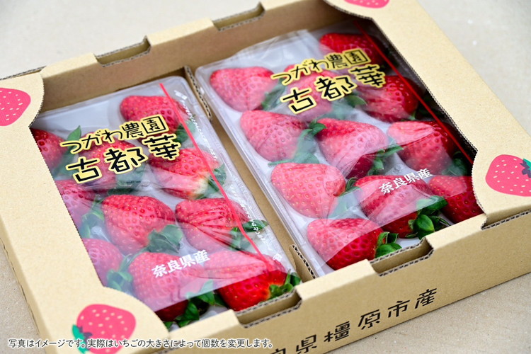 奈良県産高級ブランド　古都華 約270g×2パック ※2026年1月中旬頃より順次発送予定