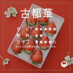 【先行予約・数量限定】【奈良県知事賞受賞】【食べ比べセット：ギフトボックス】古都華（ことか）1パック・奈乃華1パック｜とのあさイチゴ農園 ※2026年1月中旬～5月上旬頃に順次発送予定