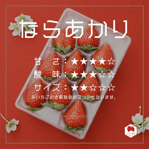 【先行予約・数量限定】【奈良県知事賞受賞】【食べ比べセット：ギフトボックス】古都華（ことか）2パック・ならあかり1パック・奈乃華1パック｜とのあさイチゴ農園 ※2026年1月中旬～5月上旬頃に順次発送予定