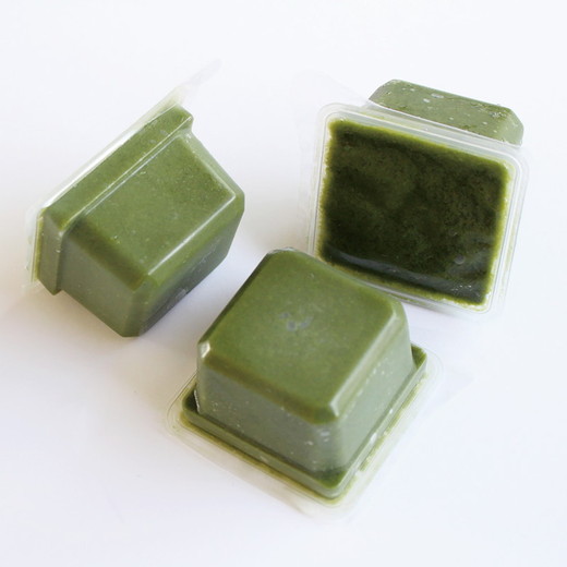 【冷凍便】美活キューブ【緑】9個入　野菜　乳酸菌