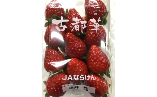 おかげさまで21年目 毎年大好評の甘い美味しい苺（レギュラーパックLサイズ×2パック）（古都華（ことか））※北海道・沖縄・離島への配送不可 ※2026年1月上旬頃より順次発送予定