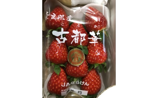 おかげさまで21年目 毎年大好評の甘い美味しい苺（レギュラーパック2Lサイズ×2パック）（古都華（ことか））※北海道・沖縄・離島への配送不可 ※2026年1月上旬頃より順次発送予定