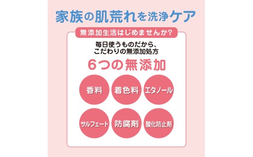 肌荒れを防ぐ薬用無添加　泡ボディソープ　詰替セット　6個入　＜無添加生活シリーズ＞｜無香料 無着色 パラベンフリー