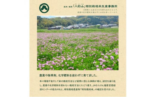 【新米】奈良・橿原　農薬や化学肥料不使用【令和7年産】ヒノヒカリ【五分搗き】約5kg（5kg×1袋）