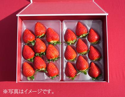 【先行予約・数量限定】【奈良県知事賞受賞】ギフトボックス入り古都華（ことか）2Lサイズ（8～9粒入り）×2パック｜とのあさイチゴ農園 ※2026年1月中旬～5月上旬頃に順次発送予定