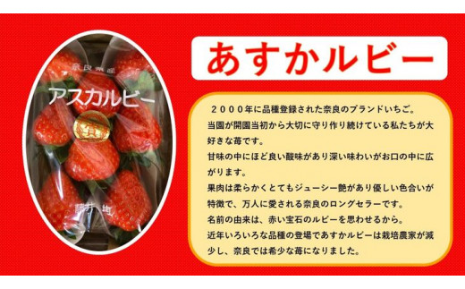 おかげさまで20周年 毎年大好評の甘い美味しい苺（レギュラーパックLサイズ）（あすかルビー）※発送前に電話連絡あり※2024年1月より順次発送予定 ※北海道・沖縄・離島への配送不可