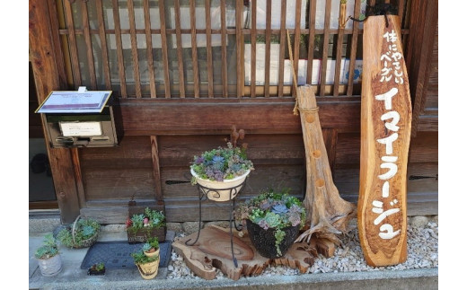 【定期便】10種のベーグル10個　6ヶ月定期便≪低カロリー ベーグル 保存料無添加 食事パン 定期便 今井町食事パン お取り寄せ≫※離島への配送不可※着日指定不可