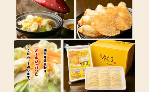 たかすみ 冷凍生餃子72個