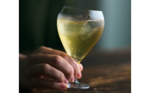 【木桶×純米酢】老舗酢蔵ノンアル酢ドリンク飲み比べ saku 2種セット（希釈）各1本｜ソムリエ共同開発　※北海道・沖縄・離島への配送不可