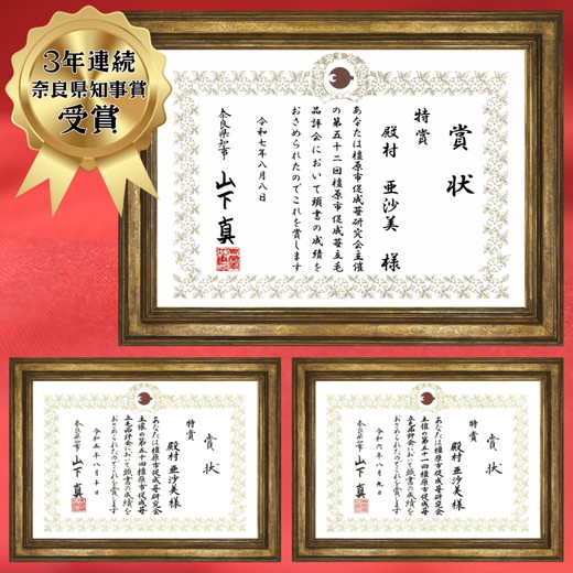 【先行予約・数量限定】【奈良県知事賞受賞】【食べ比べセット：ギフトボックス】古都華（ことか）1パック・ならあかり1パック｜とのあさイチゴ農園 ※2026年1月中旬～5月上旬頃に順次発送予定