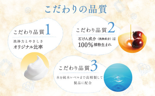 無添加　泡の石けんボディソープ　ラスカル本体12個入　〈無添加生活シリーズ〉 ※離島への配送不可