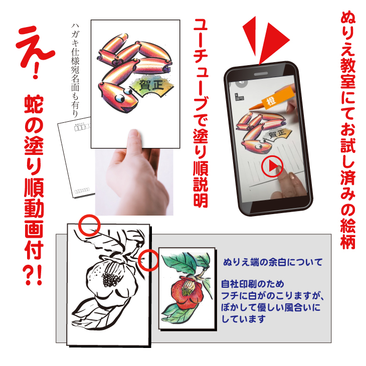 干支と正月ぬりえ【干支を色鉛筆でぬる年賀状柄／30枚組】ハガキサイズで新年のご挨拶やプレゼント脳トレ教室でも気軽に使えます。必ず見本があり。