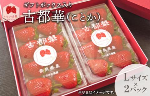 【先行予約・数量限定】【奈良県知事賞受賞】ギフトボックス入り古都華（ことか）Lサイズ×2パック｜とのあさイチゴ農園 ※2026年1月中旬～5月上旬頃に順次発送予定