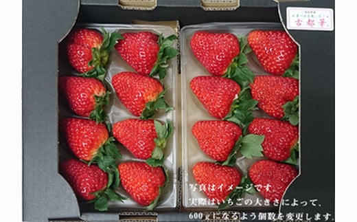 奈良県橿原市産のあまさが特徴のいちご「古都華（ことか）」（600g以上） ※2026年1月中旬頃より順次発送予定