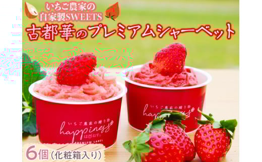 いちご農家の自家製SWEETS 古都華のプレミアムシャーベット6個（化粧箱入り）◇