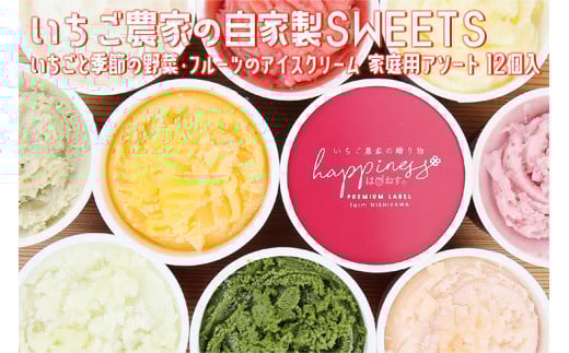 いちご農家の自家製SWEETS いちごと季節の野菜・フルーツのアイスクリーム 家庭用アソート 12個入