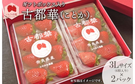 【先行予約・数量限定】【奈良県知事賞受賞】ギフトボックス入り古都華（ことか）3Lサイズ（6粒入り）×2パック｜とのあさイチゴ農園 ※2026年1月中旬～5月上旬頃に順次発送予定