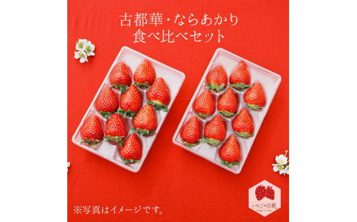 【先行予約・数量限定】【奈良県知事賞受賞】【食べ比べセット】古都華（ことか）1パック・ならあかり1パック ※2026年1月中旬～5月上旬頃に順次発送予定