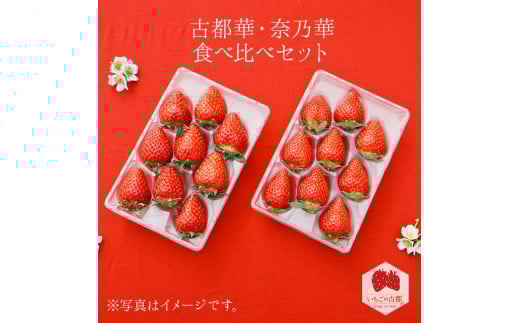 【先行予約・数量限定】【奈良県知事賞受賞】【食べ比べセット】古都華（ことか）1パック・奈乃華1パック｜とのあさイチゴ農園 ※2026年1月中旬～5月上旬頃に順次発送予定