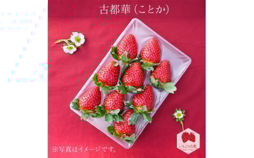 【先行予約・数量限定】【奈良県知事賞受賞】【食べ比べセット】古都華（ことか）2パック・ならあかり1パック・奈乃華1パック｜とのあさイチゴ農園 ※2026年1月中旬～5月上旬頃に順次発送予定