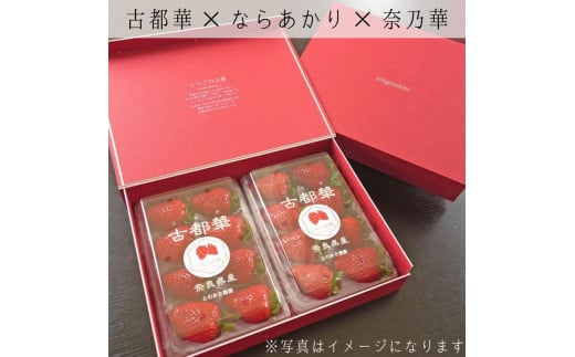 【先行予約・数量限定】【奈良県知事賞受賞】【食べ比べセット：ギフトボックス】古都華（ことか）2パック・ならあかり1パック・奈乃華1パック｜とのあさイチゴ農園 ※2026年1月中旬～5月上旬頃に順次発送予定