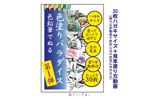 「色塗りパラダイス」ハガキサイズ色鉛筆で初めての方も安心【30枚】見本が見やすく塗り方説明動画のオマケ付き。たっぷりの絵柄にドンドン挑戦できるのが特徴。※着日指定不可