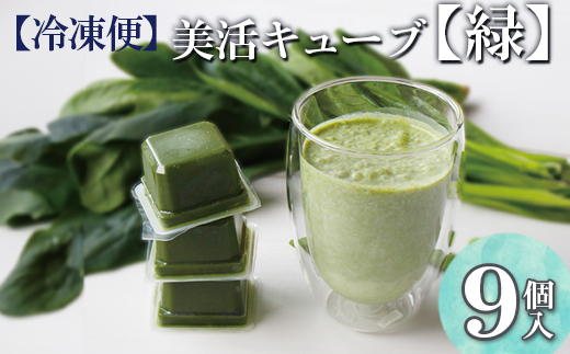 【冷凍便】美活キューブ【緑】9個入　野菜　乳酸菌
