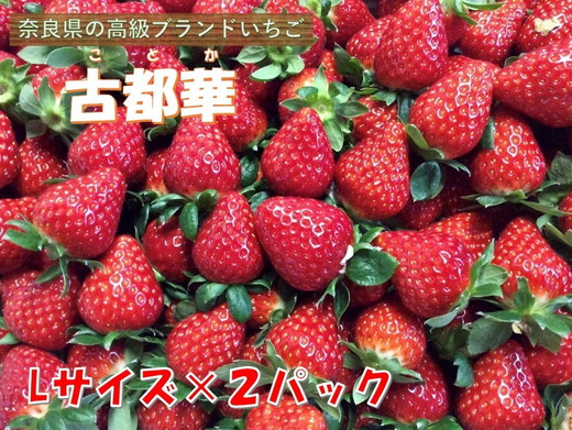 おかげさまで21年目 毎年大好評の甘い美味しい苺（レギュラーパックLサイズ×2パック）（古都華（ことか））※北海道・沖縄・離島への配送不可 ※2026年1月上旬頃より順次発送予定