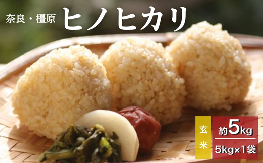 【新米】奈良・橿原　農薬や化学肥料不使用【令和7年産】ヒノヒカリ【玄米】約5kg（5kg×1袋）