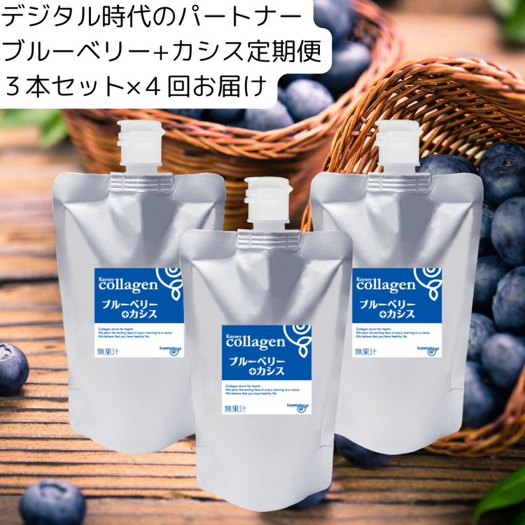 【定期便】コラーゲンドリンク ブルーベリー＋カシス 3本セット（約3ヶ月分）×4回（3ヶ月毎にお届け） 美容・眼精疲労に毎日たった10～30ml テレビでも紹介されたコラーゲンドリンク