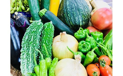 [野菜セット] 産地直送！新鮮とれたて旬の野菜 ｜産地直送 旬野菜 野菜セット 新鮮 とれたて 農家直送 [3246]