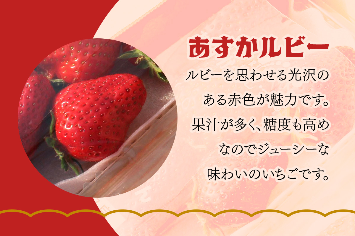 奈良県産ブランドいちご『あすかルビー』約560g×1箱(2パック)｜いちご イチゴ スイーツ フルーツ 果物 奈良県 香芝市 [2821]