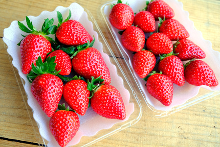 奈良県産ブランドいちご『ならあかり』約560g×1箱(2パック)｜いちご イチゴ スイーツ フルーツ 果物 奈良県 香芝市 [2823]