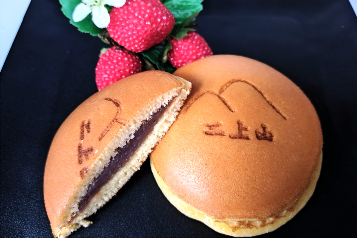 二上山どら焼き おすすめ10種アソート (合計10個)｜和菓子 どら焼き 奈良 お取り寄せ ギフト あんこ スイーツ [3155]