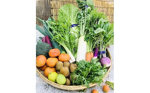 野菜と果物セット 産地直送！新鮮とれたて旬の野菜＆季節のフルーツ [果実的野菜 (イチゴ・スイカ・メロン・まくわ等) を含む] 1種以上 約1kg｜季節野菜 採れたて 安心 奈良県 [3244]