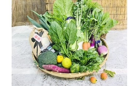 [野菜とお米10kgセット] 産地直送！新鮮とれたて旬の野菜＆ヒノヒカリ10kg ｜野菜セット 米10kg ヒノヒカリ 産地直送 奈良県 [3250]