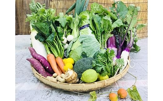 [野菜セット] 産地直送！新鮮とれたて旬の野菜 ｜産地直送 旬野菜 野菜セット 新鮮 とれたて 農家直送 [3246]