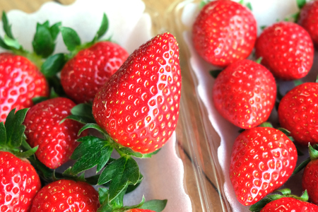 奈良県産ブランドいちご『ならあかり』約560g×1箱(2パック)｜いちご イチゴ スイーツ フルーツ 果物 奈良県 香芝市 [2823]