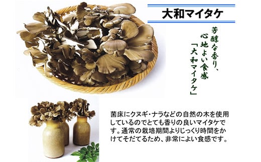 香芝市地域ブランドKASHIBA+(カシバプラス) 認定品3点セット (コメコチュイル、大和マイタケ(舞茸)、かしば香るみそ (味噌)) [3254]