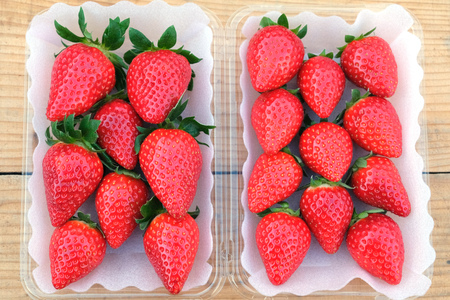 奈良県産ブランドいちご『ならあかり』約560g×1箱(2パック)｜いちご イチゴ スイーツ フルーツ 果物 奈良県 香芝市 [2823]