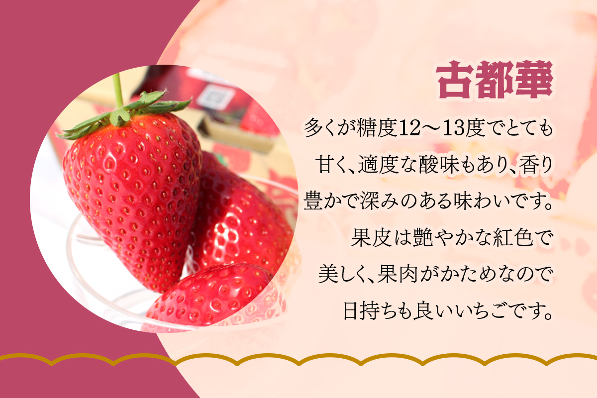 [3月4日から5月11日] いちご狩り体験プレミアム 子供1名様 奈良のブランド (ならあかり・古都華・あすかルビー)｜イチゴ農園 果物 フルーツ 親子 体験チケット いちご狩り農園 奈良県 [3062]
