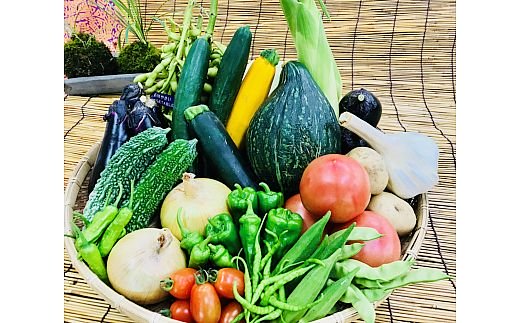 [野菜セット] 産地直送！新鮮とれたて旬の野菜 ｜産地直送 旬野菜 野菜セット 新鮮 とれたて 農家直送 [3246]