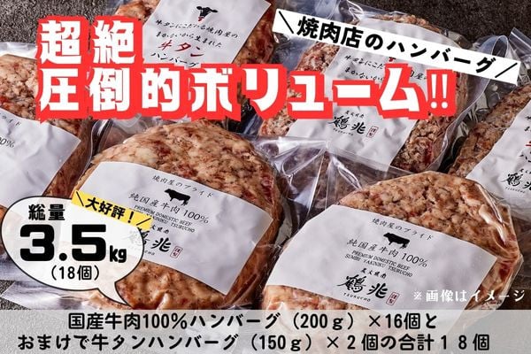 国産牛肉100%ハンバーグ [200g×16個]＆おまけ 牛タンハンバーグ [150g×2個] [2220]